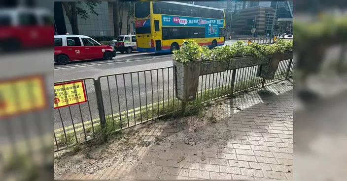 颱風過後巡區發現數碼港道有淤泥樹葉 蕭煒忠通報食環署迅速清理