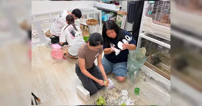 2026年度「沙田寵物達人企劃」順利開展 40名青年學員圓滿完成初階中階課程