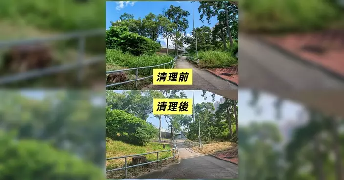 大窩交匯處天橋底雜草叢生惹蛇蹤 議員辦事處跟進後完成除草