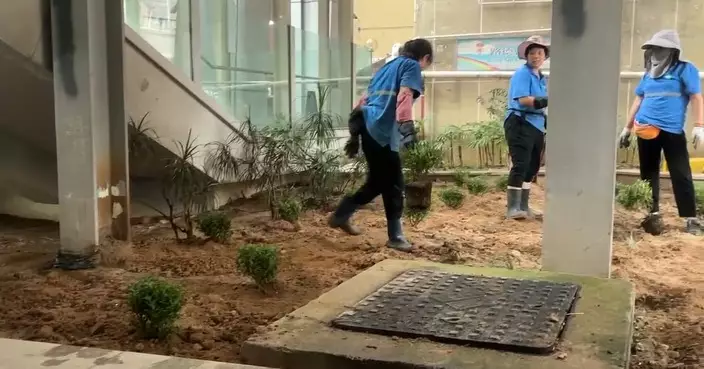 李東江建議房署試行生物驅蚊 親赴視察驅蚊草種植情況