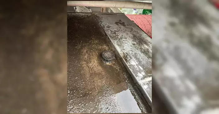 石蔭東邨天橋再現「水簾洞」 黃淑雯促加強渠道檢查