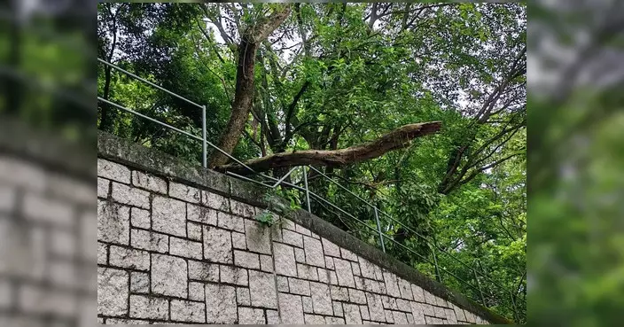 富亨邨巴士站樹枝塌下 消防迅速移除化解危機