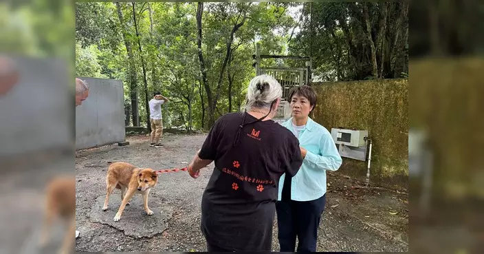 規劃署暫緩蠔涌狗舍執法 遵辦期限延長三個月至12月2日