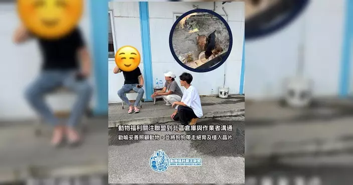 動物福利關注聯盟北區行動 帶走多隻狗隻絕育植入晶片