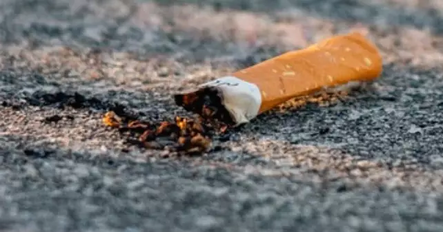 《邁向無煙香港：健康與自由的取捨？》
