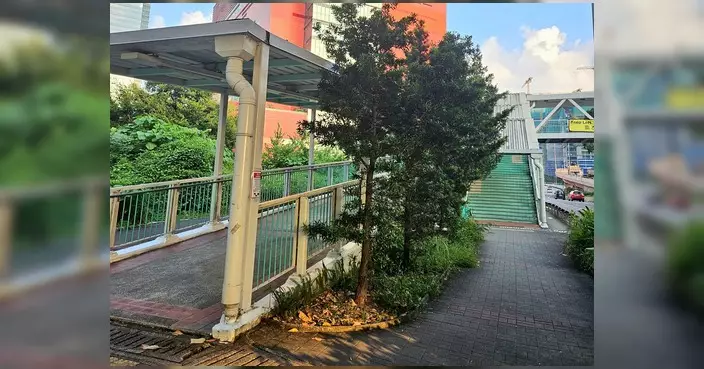 李嘉恒去信路政署爭取KF64天橋增設升降機 改善啟德醫院無障礙通道